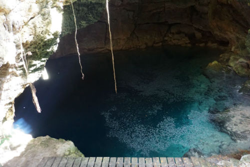 Beautiful cenotes! The first one we camped right next to it had the whole place to ourselves and it 