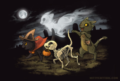 mewitti:SUDDENLY, BACKGROUNDS… I spruced up this older picture since it keeps coming back every Hall