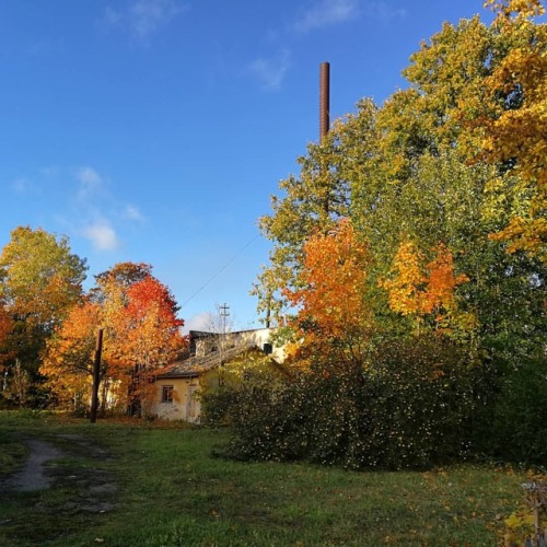 Autumn ❤️#autumn #raasiku #estonia #eesti #goldenautumn #beautiful #эстония #осень #погода #красота 