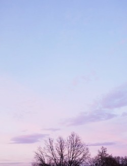 lavendervalar: D170/365 // January 17credit🌙