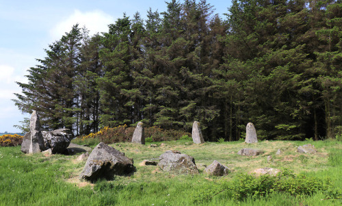 Aikey Brae Stone Circle, near Old Deer, Scotland, 2.6.18.A recumbent stone circle built in the 3rd m