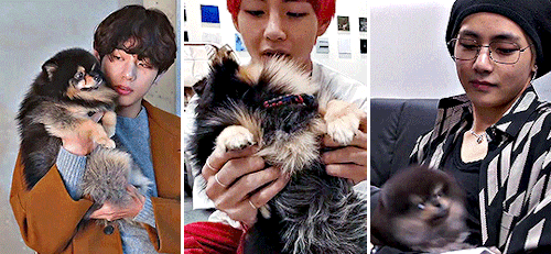 MAKE ME CHOOSE Jungkook With Bam Or Taehyung With Yeontan? Anonymous (cr. Namuspromised, 0613data)