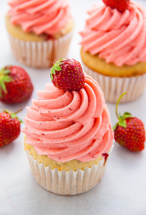 verticalfood:Fresh Strawberry Cupcakes porn pictures