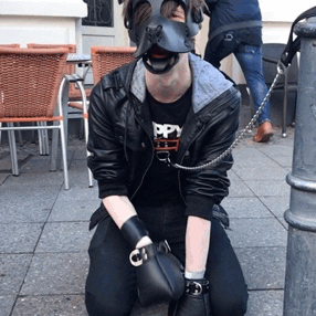 puppixel: I had the pleasure of holding the adorable @puplucas ’s leash on Monday. He’s such a good, brave, bouncy pup.   Took him outside for a bit and he met a bio-pup, who promptly inspected and barked at him!  He’s also doing a good job modelling