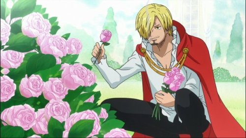  Sanji only know after this deployment, picking flowers in the smile for the proof of the pudding is