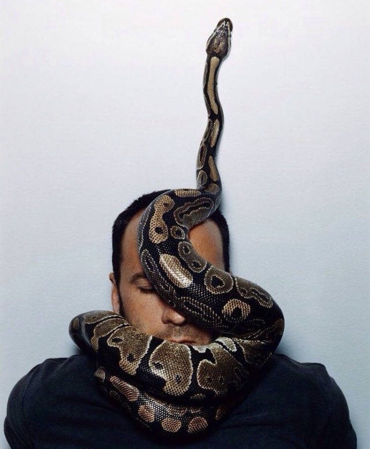 scorpiogy:  