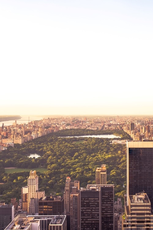 0rient-express:  Juxtaposition | by Tim Trueman. 