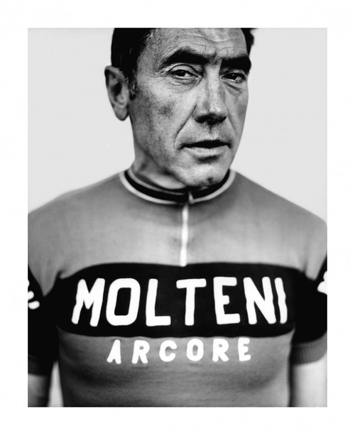 Eddy Merckx / Stephan Vanfleteren