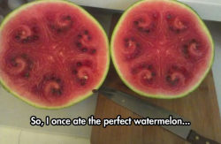 advice-animal:  The Perfect Watermelonhttp://advice-animal.tumblr.com/