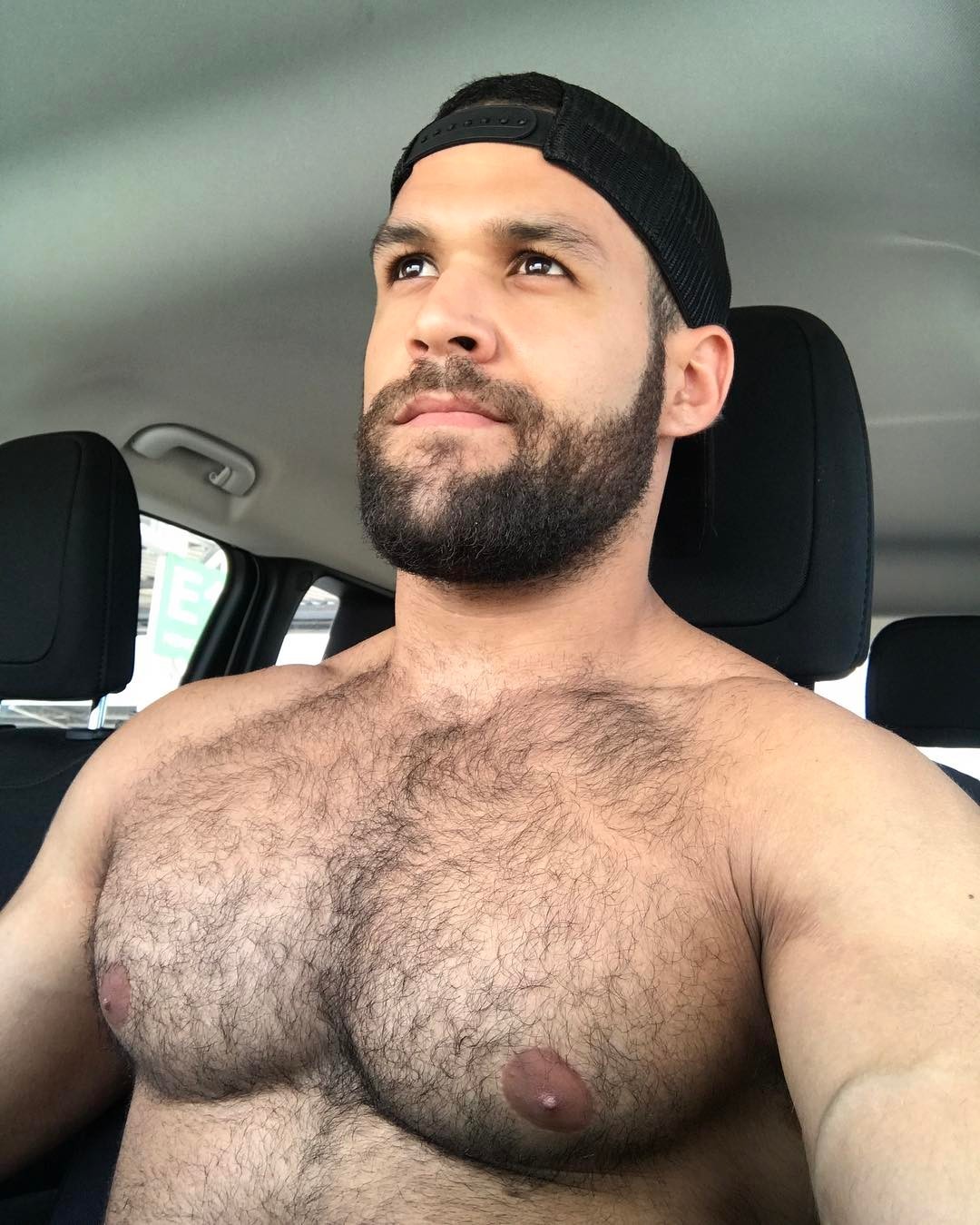 barlowgay:  What a big big chest