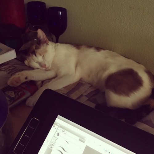 My little work companion. #kitties #cat #catsofinstagram #precious #cute #kitten #sleepingkitten