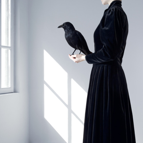 Porn photo likeafieldmouse:  Juliette Bates - Histoires