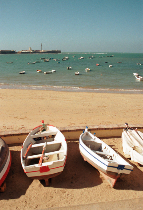 cádiz, noviembre 2019kodak pro image 100nikon f90nikkor 28-85 f/3.5-4.5 af www.instagram.com