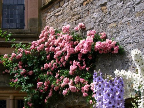 medieval-woman:Haddon Hall in Derbyshire by JR P  