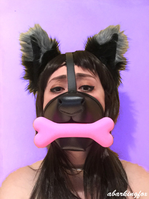 bdsmgeekshop:  abarkingfox:  Gagged, Muzzled Fox.Thanks to bdsmgeek ( bdsmgeekshop ) for the adorable, pink bone gag! Purchase this gag and much more at their store, here !  So cute!!!!!