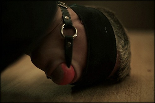 What A Proud Slave Likes