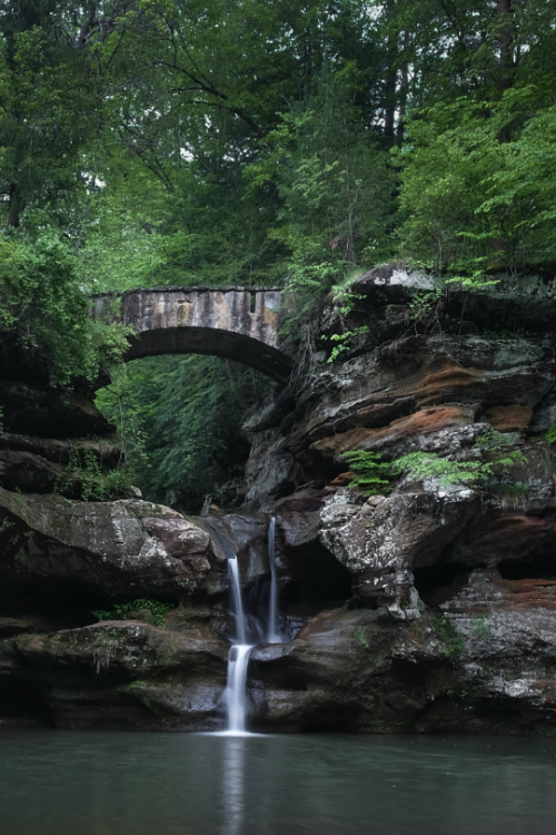 tulipnight:Upper Falls Spring by Robert Scott