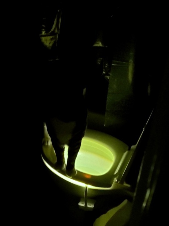 leaving-norris: kimkrypto:  ectoimp:  ectoimp:  homestuckorbust:  ectoimp:  So remember how I bought a motion activated night light for the toilet?Well the cats seem to have discovered it. So I went to for a late night piss and was greeted to an ominous