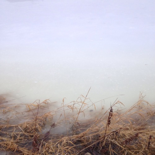 drouusy: aftermath of 40 degrees