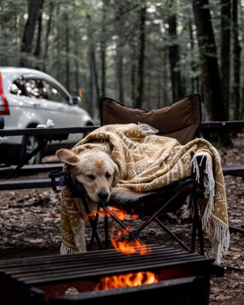 sgtgrunt0331:  renamonkalou:  Simple things in life | eastonofthewild   Cuteness