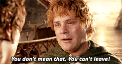 lord of the rings daily