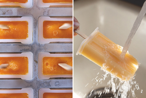 sofia-pls:  redbellied-piranha:  poorbrat:  redbellied-piranha:  48c:  esa-bichita:  aypaulito:  foodandsexandlife:  Tequila-Spiked Mango Popsicles with Chile Recipe   Holy fuck.  Omgggg  Daddy :(   poorbrat lets make these  [ puts the raspado lady outta