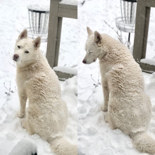 Mom&hellip;. it’s snowing&hellip;. I loves it&hellip;.