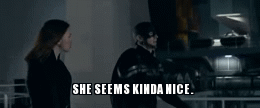 theladyscribe:magpieandwhale:wynterwydow:The moment that you realize Agent 13’s cover was not an acc