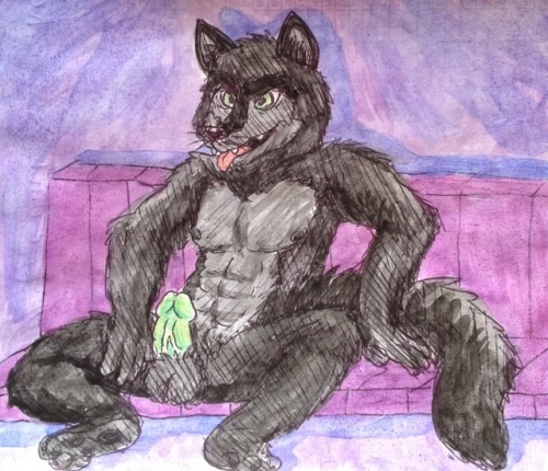 Random wolf wants to play porn pictures