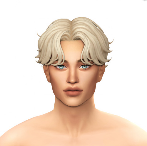 ts4 portrait