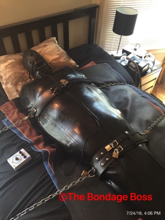 thebondageboss:  Tuesday, July 24 - Canadian pig in Bondage The pig is sealed in a rubber sleepsack with neoprene hood and neoprene tube gag. The pig is still in chastity and plugged with the electro plug. Three belts hold the pig in place and prevent