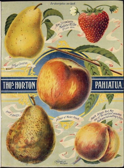 turnbullephemera - Thomas Horton’s nursery at Pahiatua was doing...