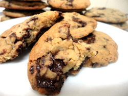 chocolatefoood:  chocolate chip cookies request 