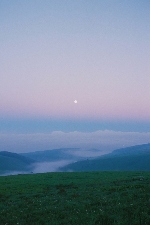 satophotofilm: 夜明けの月