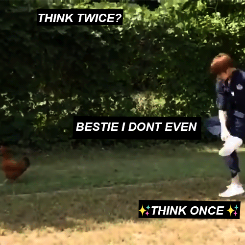 Bts As Raccoon Memes