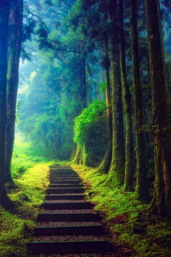 plasmatics-life:  Keep on Hiking | (by Hanson