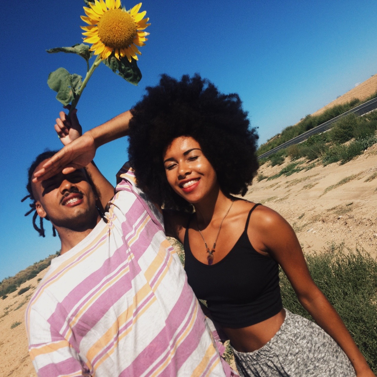queenevea:  Omg that sunflower is huge.