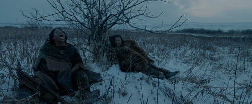 brand-upon-the-brain:  The Revenant (Alejandro González Iñárritu, 2015)