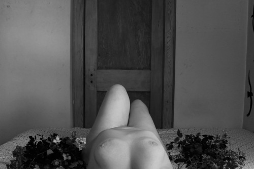 dianamsphotography:Photographer - Diana M. SchenkelSelf portraits