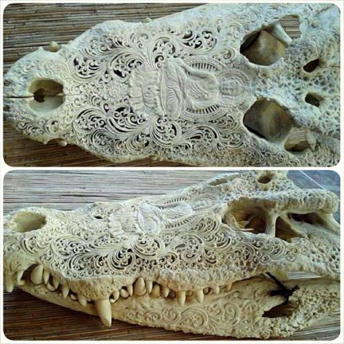 nezua:  moshita:  encarved crocodile skull Bali Organic Arts  Crocodoilie 
