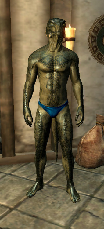 I only have 2 mods hereSky UI, because I was told Skyrim’s original UI was horridandShape Atlas for Men, because briefs…just becauseHere are some of my mannequins in my mansion sporting various colors, they’re edited and not the actual colors. 