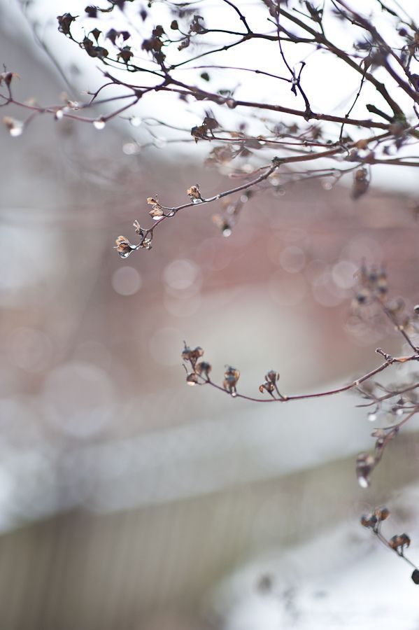 artpropelled:    by kachergina on Flickr   