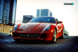 automotivated:  Ferrari 599 GTB Fiorano (by 李鱼 Ferrari911) 