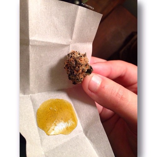 kat-smokes:  Gonna grind up this nug of blue sugar cookies and take some dabs of og kush to medicate #dewaxed 