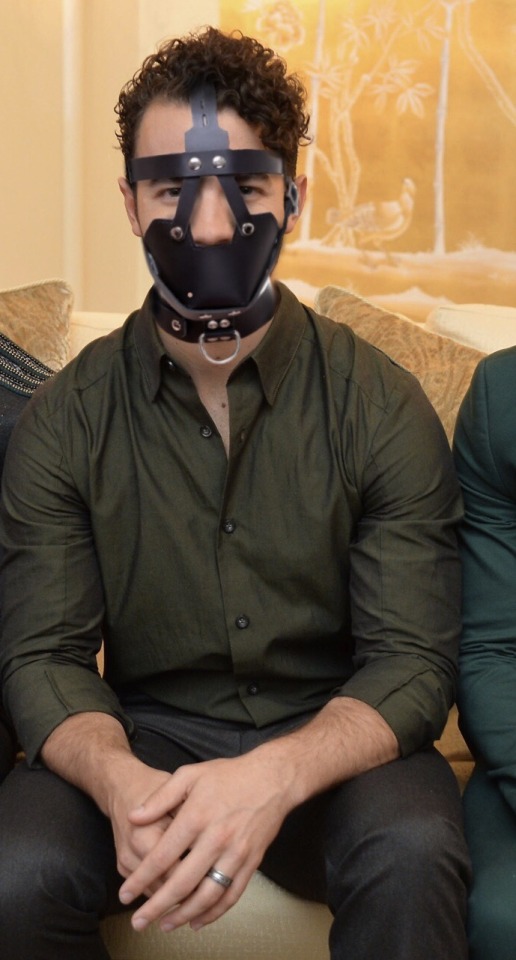 The Jonas Brothers Gagged