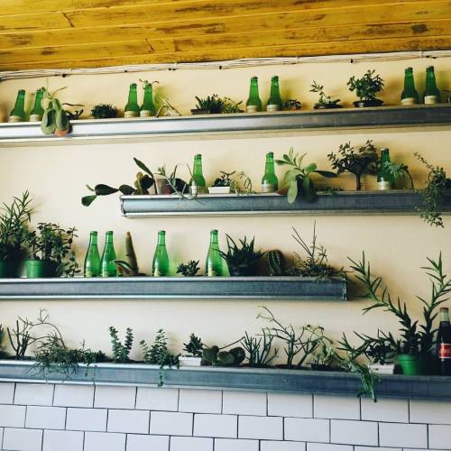 . . . @homestate #ilovebreakfasttacos #homestate #losfeliz #plants #succulents #interior #plantwall 