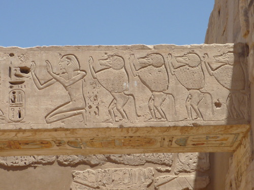 Wall relief of Ramses III and baboons, mortuary temple of Ramses III, Medinet Habu, Theban Necropoli