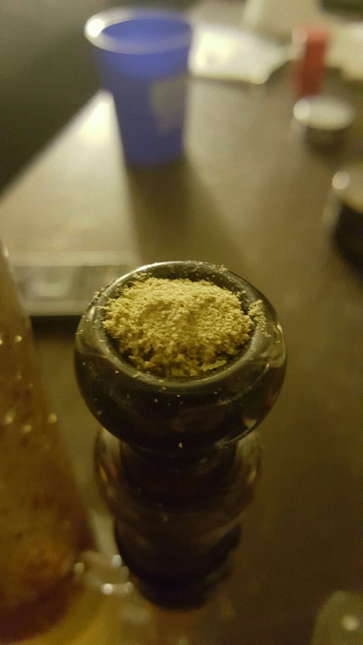Kief!