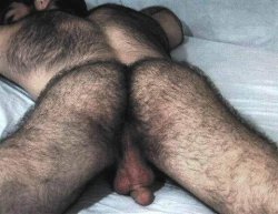 older hairy men are awesome