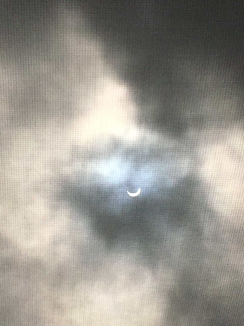 Solar Eclipse 2017 from Florida.